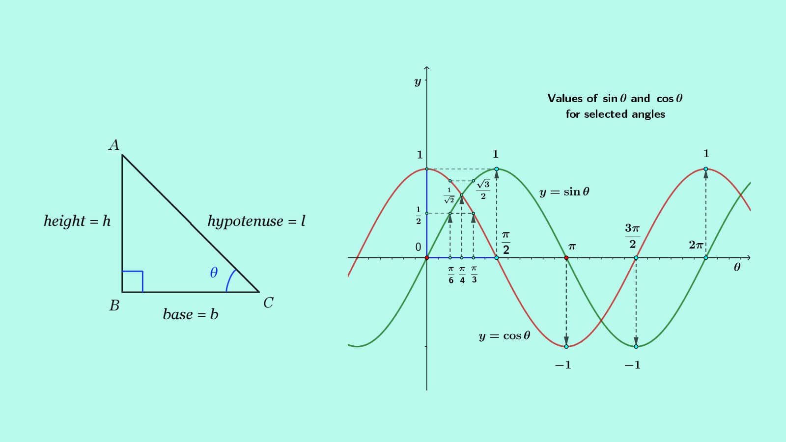 basic and rich trigonometry concepts