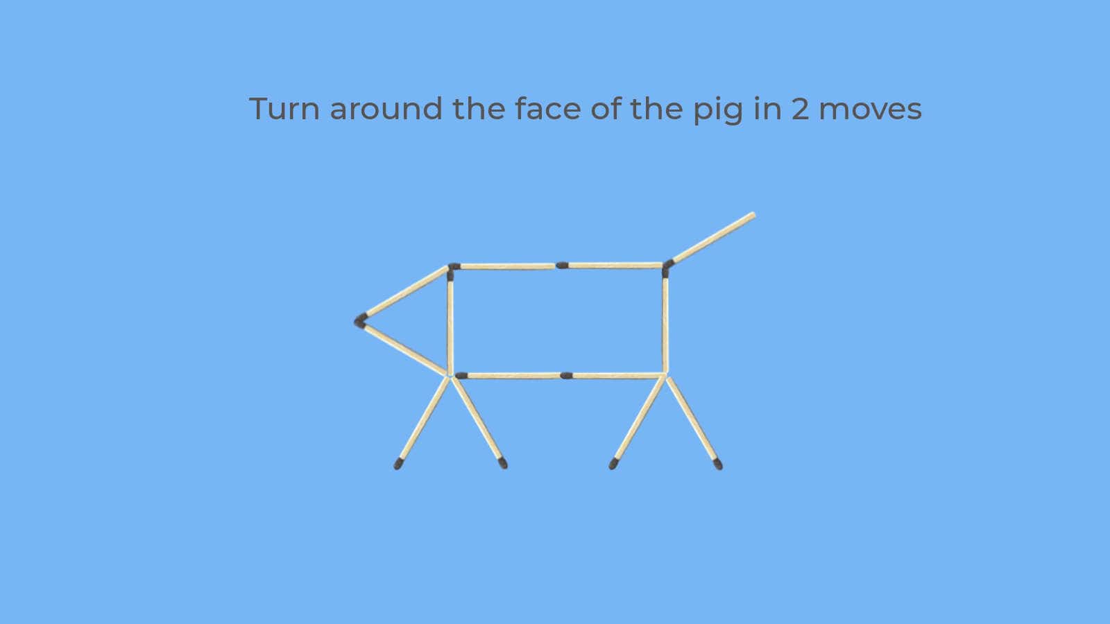 Turn around the face of the pig in 2 moves puzzle