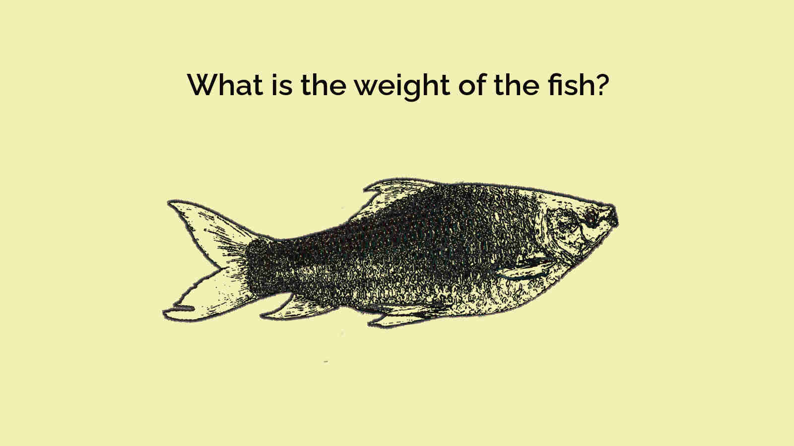 What is the weight of the fish?